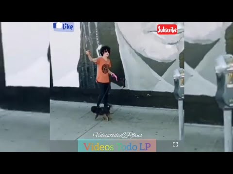 LP - Laura Pergolizzi ♥️ Live moments fans Live moments fans (momentos en vivo fans)😍