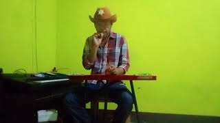 Download lagu Instrumen Hawaiian Baby Blue...Cover Ruddy Lau mp3