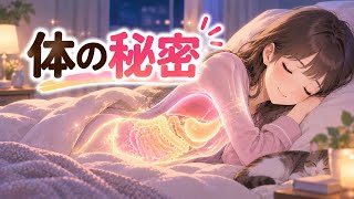 睡眠中に体に起こる秘密｜#脂肪燃焼 #ダイエット #睡眠不足