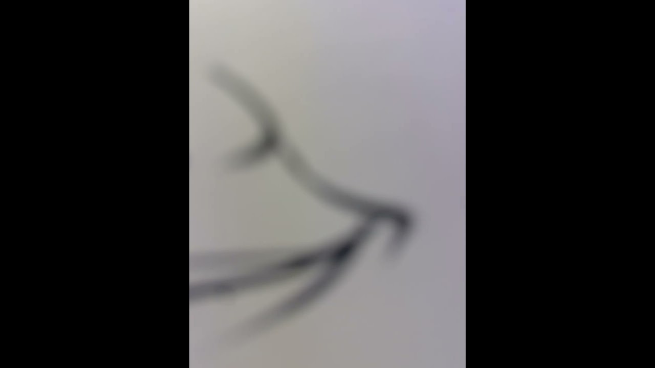 Promotional video thumbnail 5 for Nef Melendez