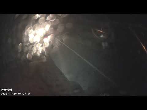 Resaltó el Cabuyal - Candelaria - Valle del Cauca