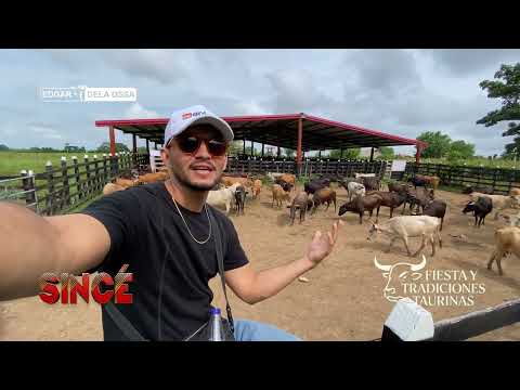 CONOCIENDO LA GANADERÍA SAN CARLOS DEL GANADERO CARLOS GONZALES EN EL DEPARTAMENTO DE CORDOBA