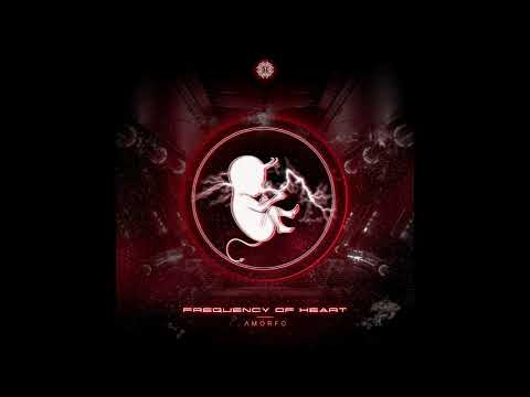 Amorfo Sounds - Frequency of Heart