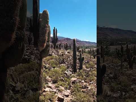 Tilcara, Jujuy | Andean Culture, Mountain Views and Life in the Quebrada de Humahuaca