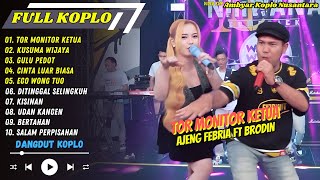 Download lagu Ajeng Febria Ft Brodin - TOR MONITOR KETUA - GULU PEDOT - EGO WONG TUO || FULL ALBUM KOPLO mp3