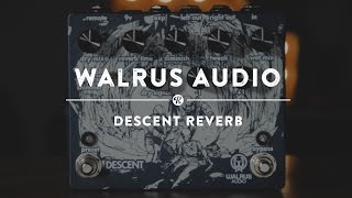 Walrus Audio Descent Reverb | Reverb Demo Video