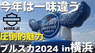 【ひと味違う⁉︎】ブルースカイヘブン2024in横浜 【後半】姫路チャプター