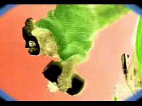 Dança Da Latinha video