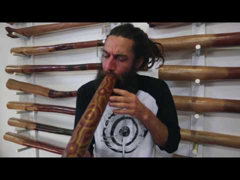 Jesse Lethbridge Didgeridoo key of E (#2796)