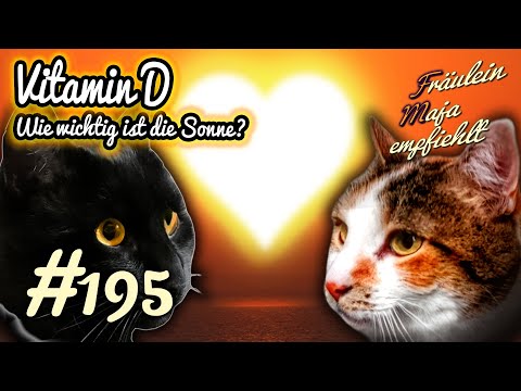 VITAMIN D | Do cats need SUN to SURVIVE? Miss Maja recommends episode195