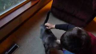 Silver Jews - Time Will Break the World