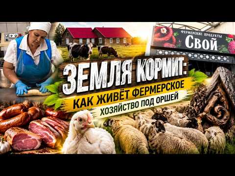 От поля до прилавка. Как развивается крестьянско-фермерское хозяйство под Оршей