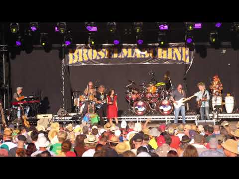 Burg-Herzberg-Festival 2018 - Bröselmaschine (9/9)