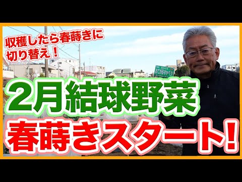 春に良いスタートを切るために、キョウチクトウにいつ肥料を与えればよいでしょうか?なんの天然肥料？  庭園