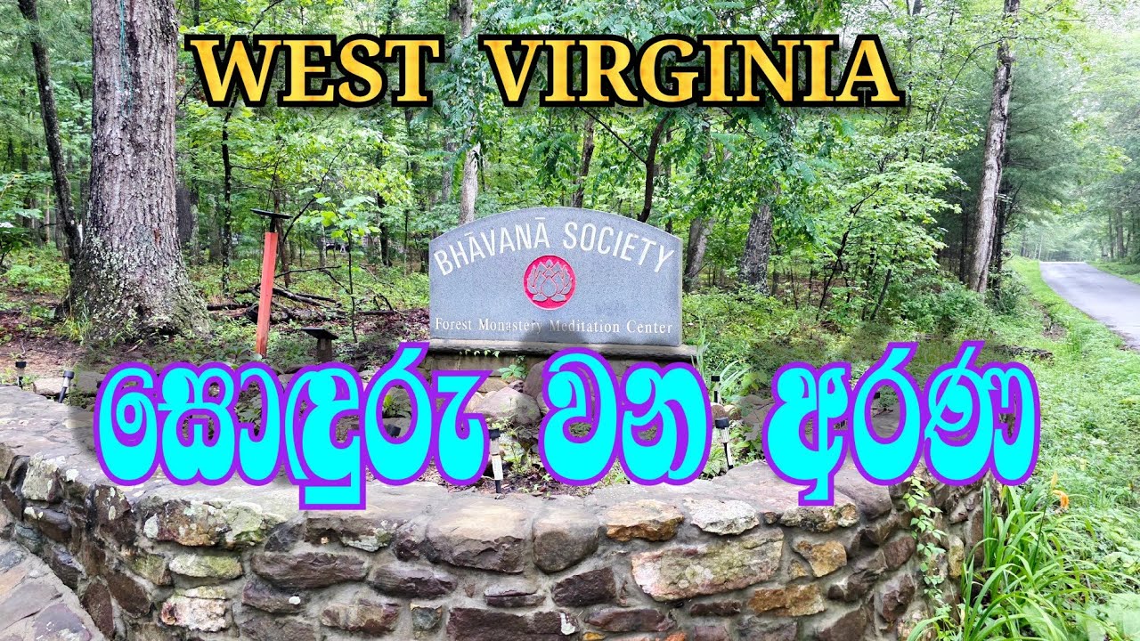 West Virginia Forest Monastery#nature #religion #mindfulness