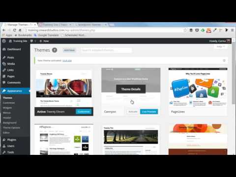 Customizing WordPress themes video thumbnail