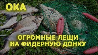 Лов леща на фидер летом подмосковье
