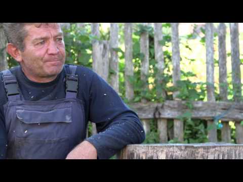 Transylvanian wood-craftman V. Radut Interview