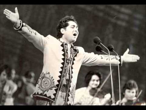 Nicolae Sulac-Floarea lui Sulac