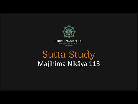 MN 113 (The True Man) and Q&A