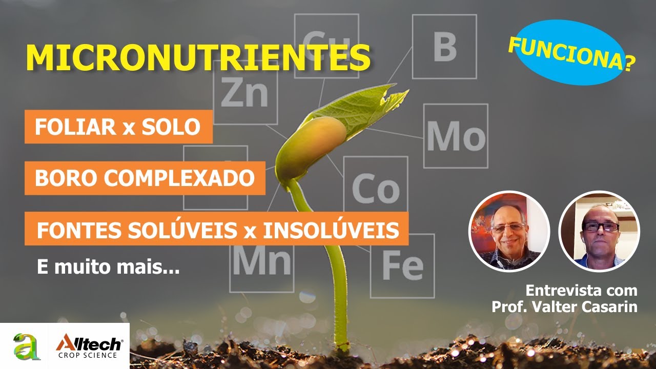 # 79 - FOLIAR OU SOLO? BORO COMPLEXADO? FONTES?  - MICRONUTRIENTES.  ENTREVISTA - DR. VALTER CASARIN