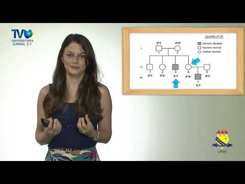 ALÔ VESTIBULANDO_QUESTÃO 26 - VESTIBULAR UFRR 2019 - BIOLOGIA