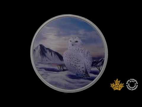 2 oz. Pure Silver Glow-in-the-Dark Coin - Arctic Animals: Snowy Owl