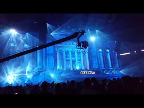Transmission 2016 - Orkidea - Id