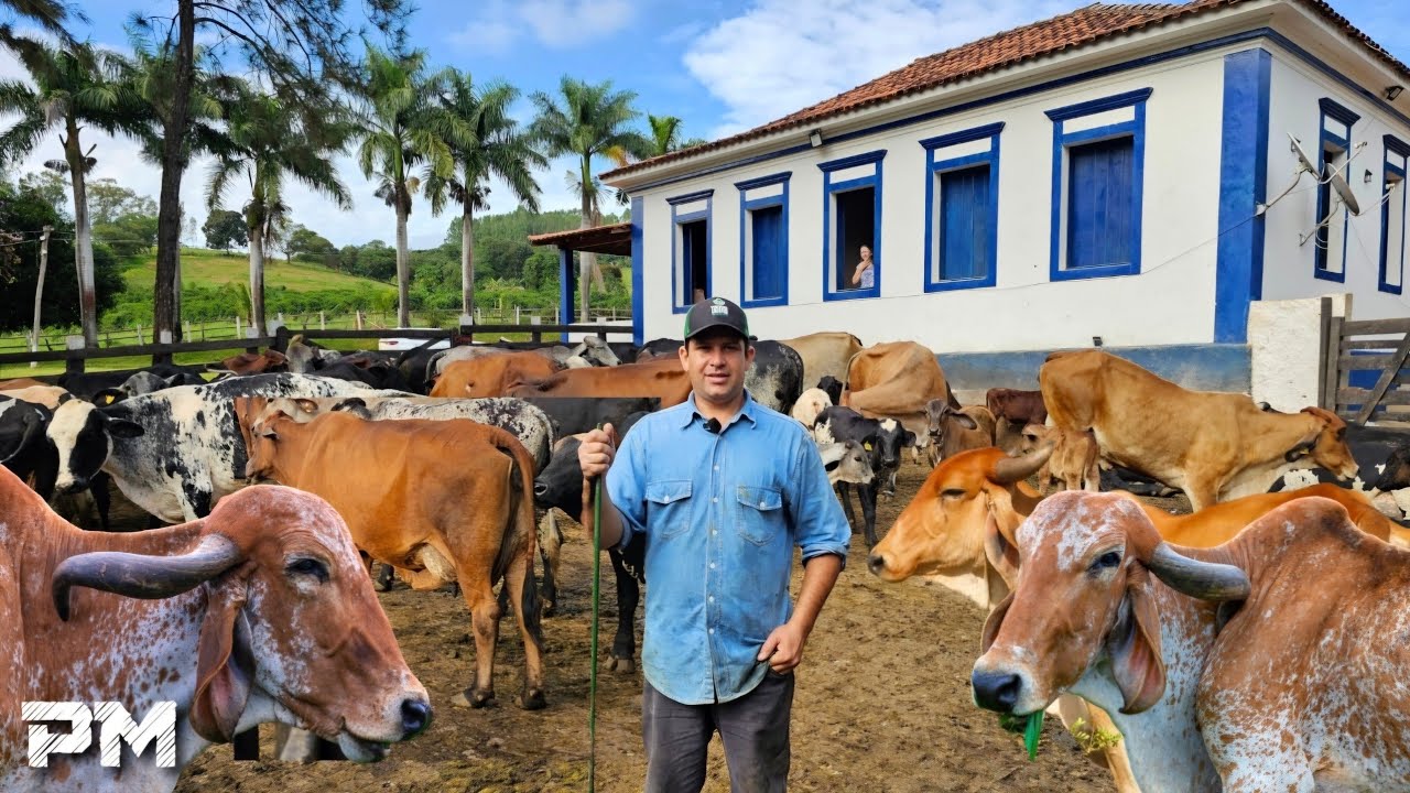 HE DECIDED TO STAY ON THE FARM AND MILK WITH HIS FAMILY