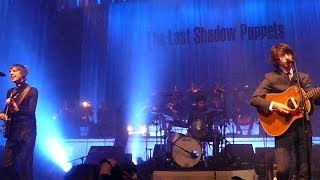 The Last Shadow Puppets - I Don&#39;t Like You Anymore [Live at Cirque Royal, Brussels - 19-10-2008]