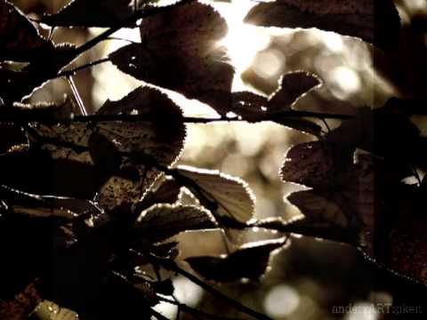 Aerodrömme - Butterfingers