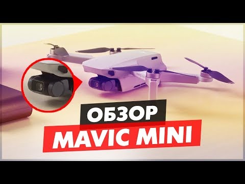 Дрон DJI Mavic Mini белый - Видео