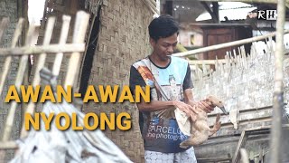 Download lagu KONCI #164 | KOMEDI NGAPAK CILACAP | AWAN - AWAN NYOLONG mp3 Download lagu KONCI #164 | KOMEDI NGAPAK CILACAP | AWAN - AWAN NYOLONG mp3