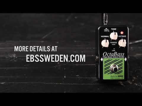 EBS OctaBass Blue Label 2023 - Black image 2
