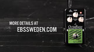 EBS OctaBass Blue Label - What To Know & Where To Buy | Equipboard