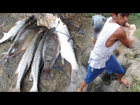 SE03EP154 - MAG ASAWANG DALA | CAST NET GAMING | Catch & Cook - San Agustin Tiaong Quezon