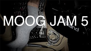 Richard Patrick MOOG JAM 5
