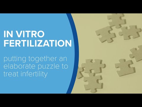 How In Vitro Fertilization (IVF) Works - Yale Medicine Explains