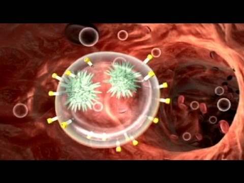 Sensation im Kampf gegen Aids