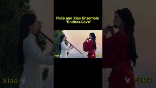 Download lagu Through ages of vicissitudes, only love is an eternal myth.Flute and Xiao Ensemble of ’Endless Love‘ mp3