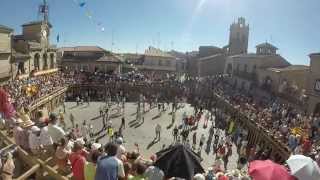 preview picture of video '2º Encierro de toros de las fiesta de Fermoselle 2014'