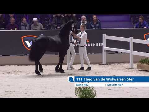 HK2025 | vrijdag 10 januari