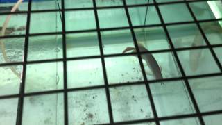 IMG 04241