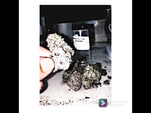 Cheantrax - Freestyle // 1 // (prod. prettyboidkay)