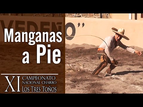 3 of 3 MANGANAS ON FOOT - XI Los Tres Toños Championship 2019