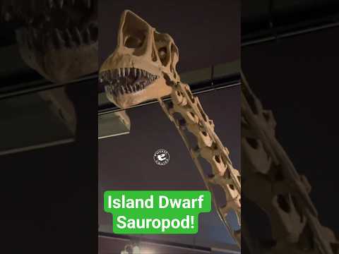 Europasaurus: The Island Dwarf Sauropod of Germany #Europasaurus #Sauropod