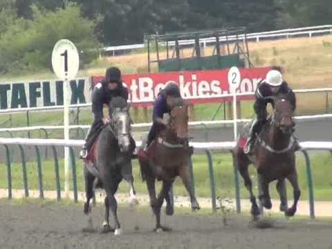 Trending Lingfield Gallop 130711