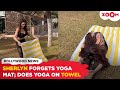 Sherlyn Chopra FORGETS Her Yoga Mat At Home Does Yoga On Towel Bollywood News