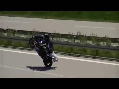 Baja Mali Knindža  - 2016 ( Najjača pesma )  (Uzivo) Tankosic As