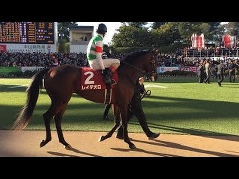 ホープフルS パドック レイデオロ 3連勝！ 中山 G2 2016 競馬 Keiba